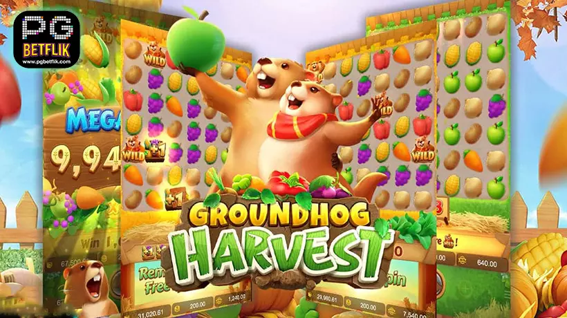 groundhog harvest slot